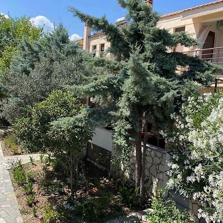 Papadopoulos Houses Nikiti  Exterior foto