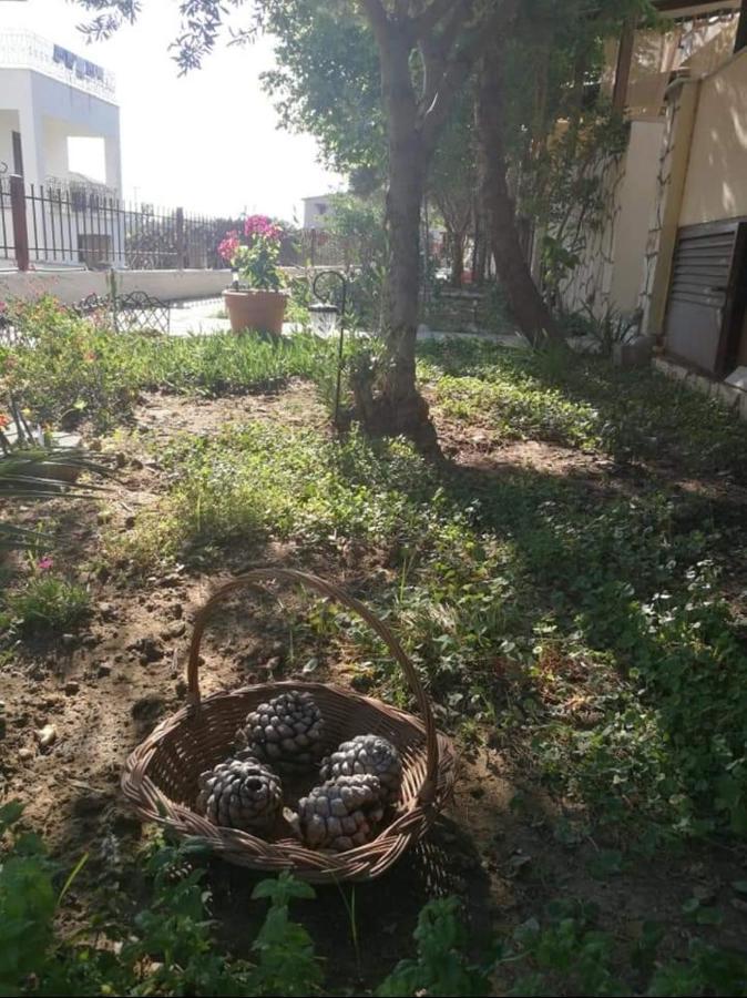 Papadopoulos Houses Nikiti  Exterior foto